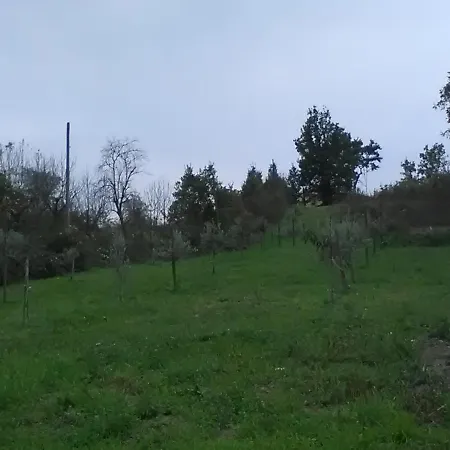 La Luna